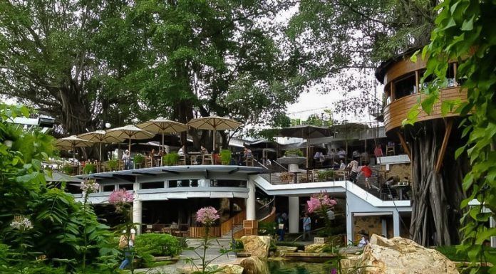 Quán Cafe cây xanh Sài Gòn - Du Miên Garden