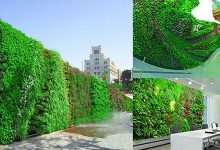 Tường cây xanh như lớp bảo vệ giảm bức xạ mặt trời rất tốt